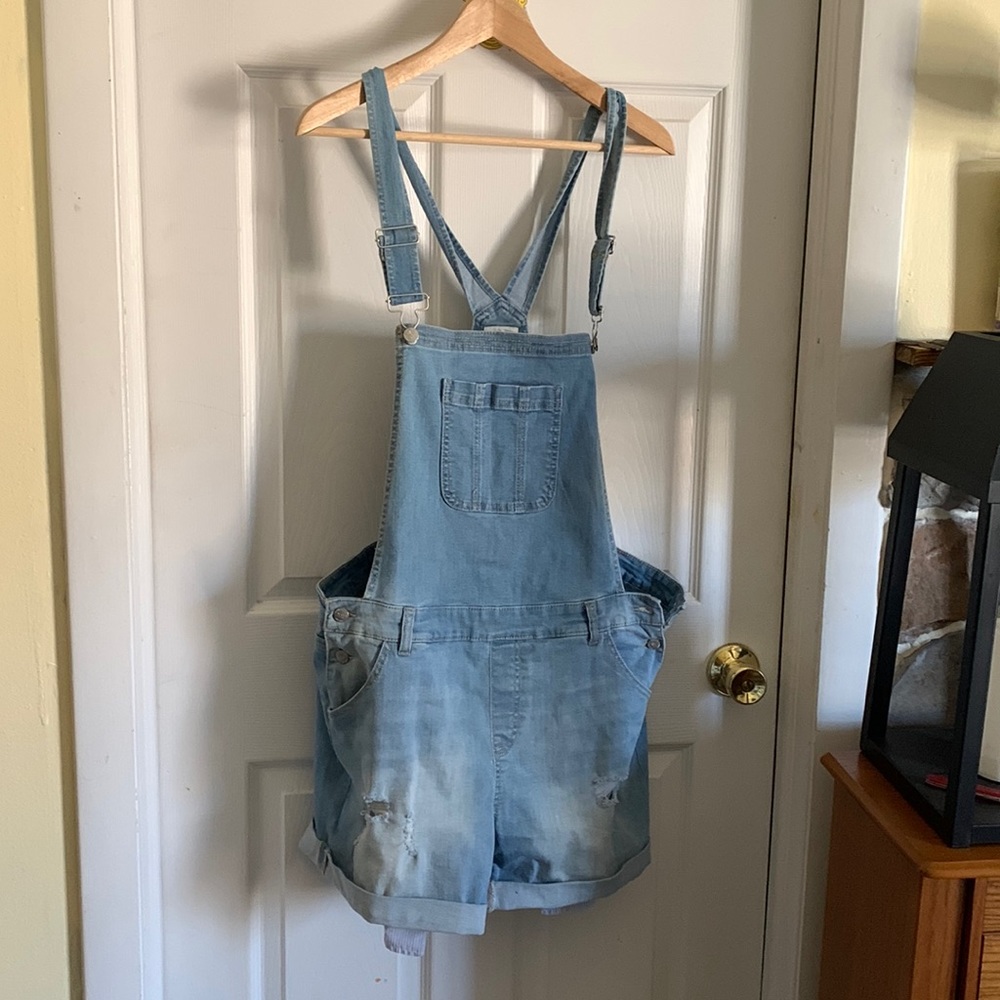 Wax Jean distressed overalls